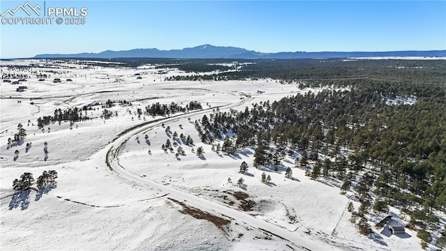 10177 Alamar Way, Colorado Springs, CO 80908