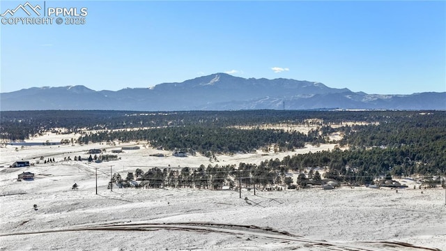 10177 Alamar Way, Colorado Springs, CO 80908
