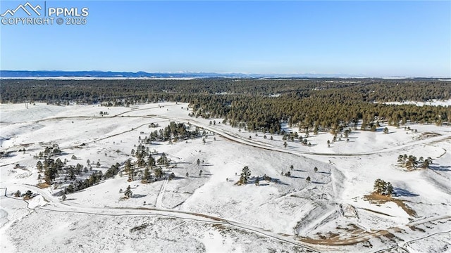 10177 Alamar Way, Colorado Springs, CO 80908
