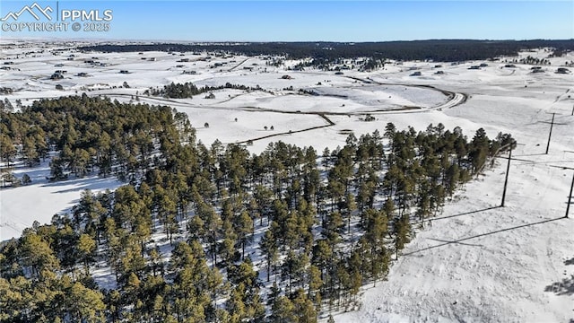 10177 Alamar Way, Colorado Springs, CO 80908