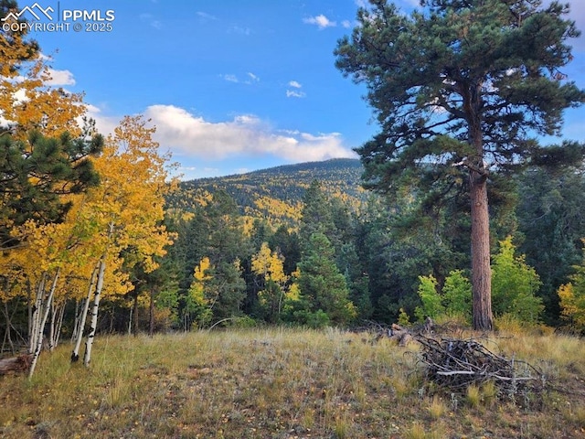 2642 Yorktown Rd, Cripple Creek CO, 80813 land for sale