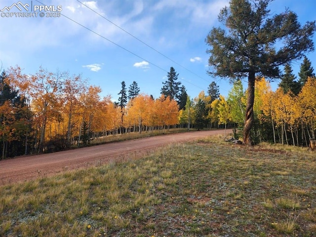 Listing photo 2 for 2642 Yorktown Rd, Cripple Creek CO 80813