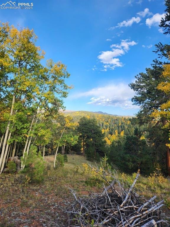 Listing photo 3 for 2642 Yorktown Rd, Cripple Creek CO 80813