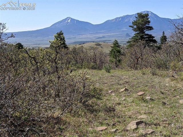 TBD Highway 160, La Veta CO, 81055 land for sale