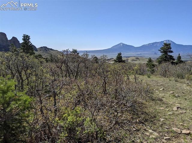 Listing photo 2 for TBD Highway 160, La Veta CO 81055