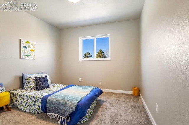 bedroom with light carpet