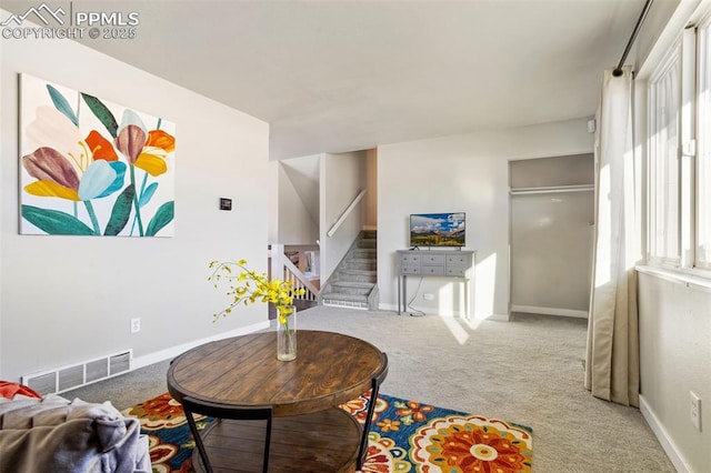 living room featuring carpet flooring