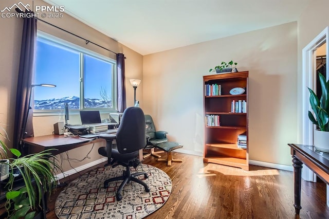 office area with wood-type flooring