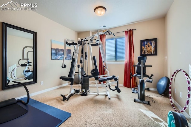 exercise room featuring carpet floors