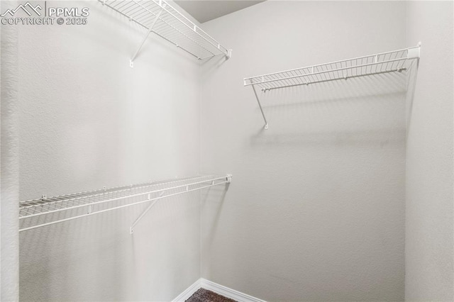 view of walk in closet