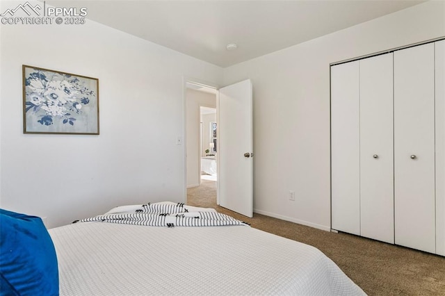 bedroom featuring carpet floors and a closet