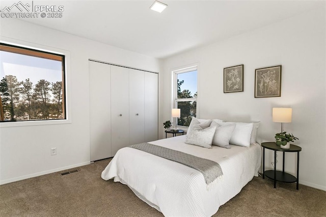 bedroom with carpet floors and a closet