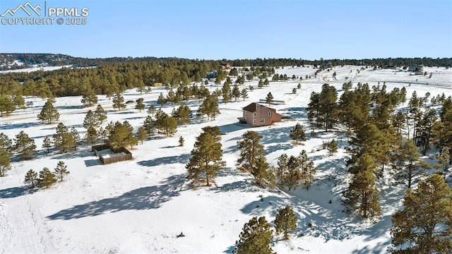 view of snowy aerial view