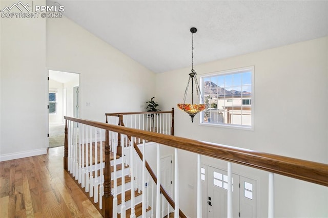 hall featuring light hardwood / wood-style flooring and high vaulted ceiling