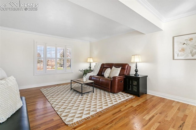 living room featuring ornamental molding and light hardwood / wood-style floors