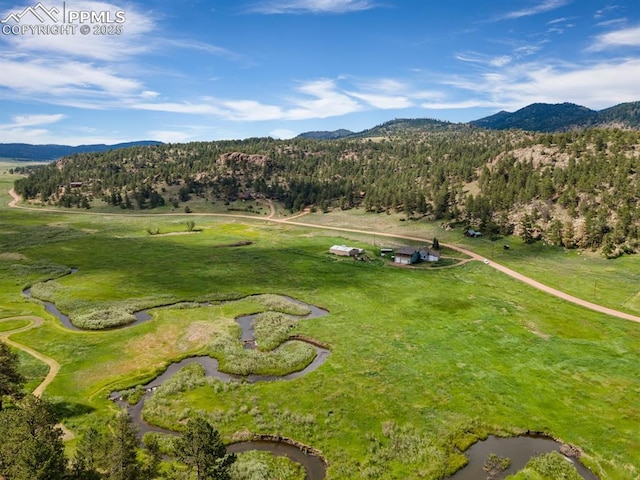 1636 Lakemoor Dr, Florissant, CO 80816 - birds eye view of property featuring a wooded view and a mountain view