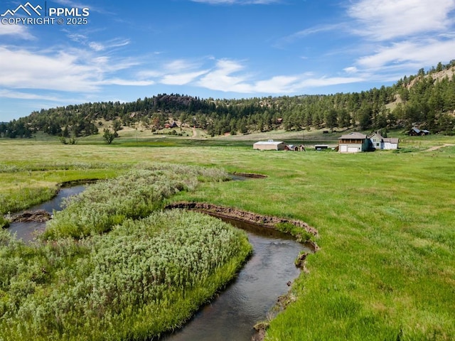 1636 Lakemoor Dr, Florissant, CO 80816 - exterior space featuring a forest view