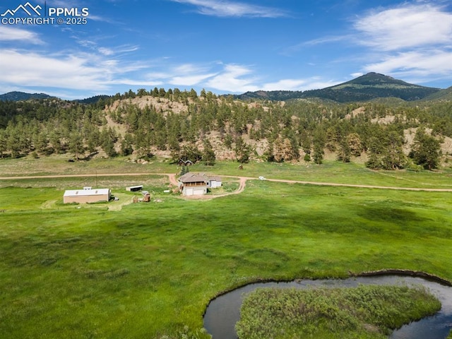 1636 Lakemoor Dr, Florissant, CO 80816 - exterior space with a mountain view and a forest view