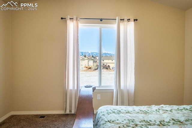 carpeted bedroom featuring a mountain view