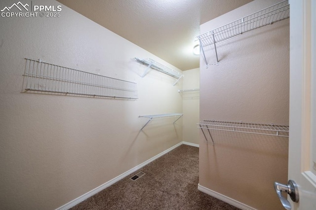 walk in closet featuring carpet flooring