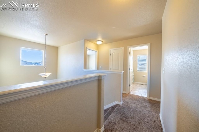 hallway with carpet floors and a textured ceiling