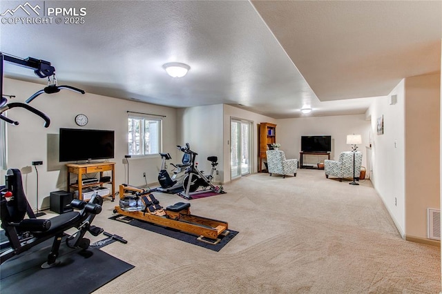 exercise area featuring light colored carpet and a textured ceiling