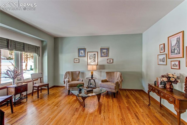 living area featuring light hardwood / wood-style floors