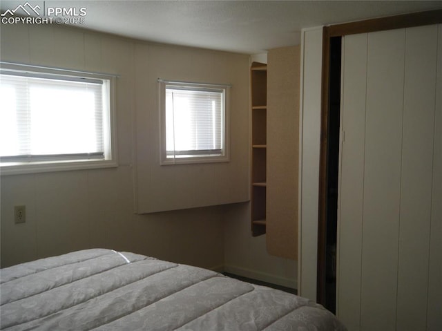 bedroom featuring a closet and multiple windows