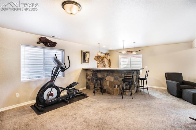 exercise area featuring indoor bar and carpet