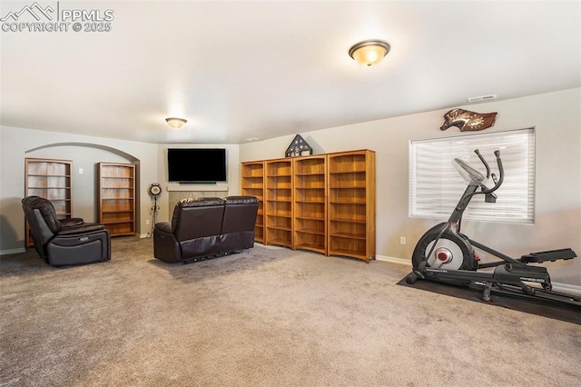 exercise room featuring carpet floors