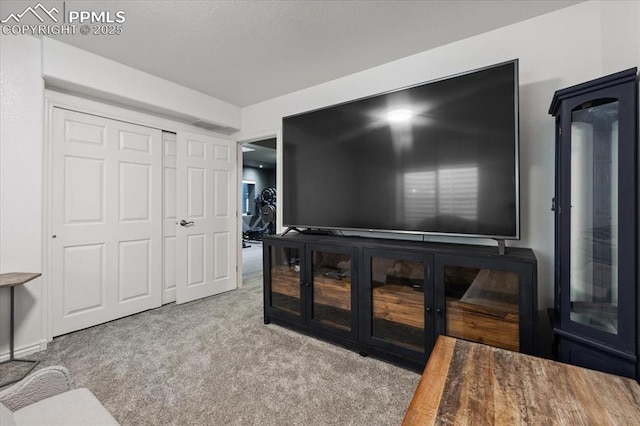 living room featuring light colored carpet