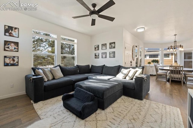 living room featuring dark hardwood / wood-style floors and ceiling fan with notable chandelier