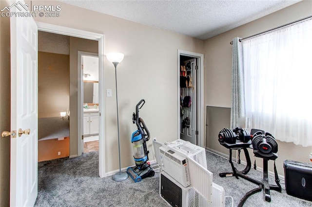 misc room with carpet floors and a textured ceiling