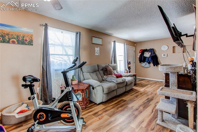 living room featuring hardwood / wood-style floors and a textured ceiling