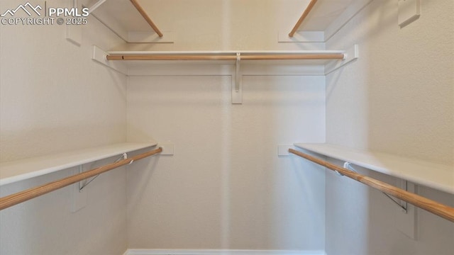 view of spacious closet