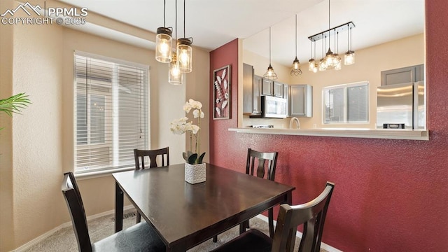 dining room with carpet flooring