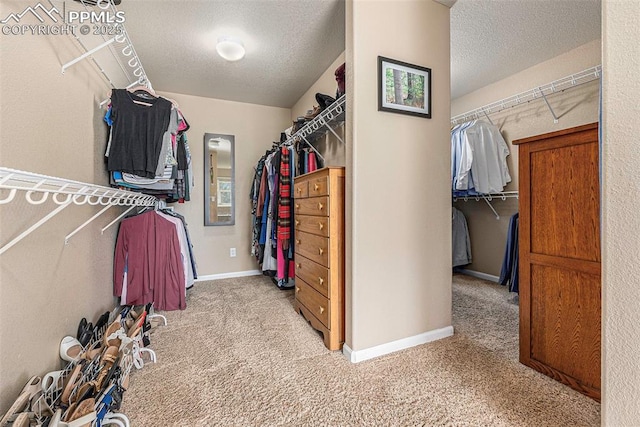 spacious closet featuring light carpet