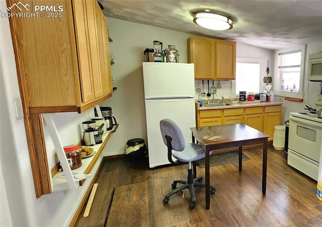 kitchen featuring white appliances, dark hardwood / wood-style floors, and sink