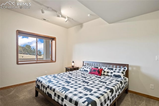 carpeted bedroom featuring track lighting