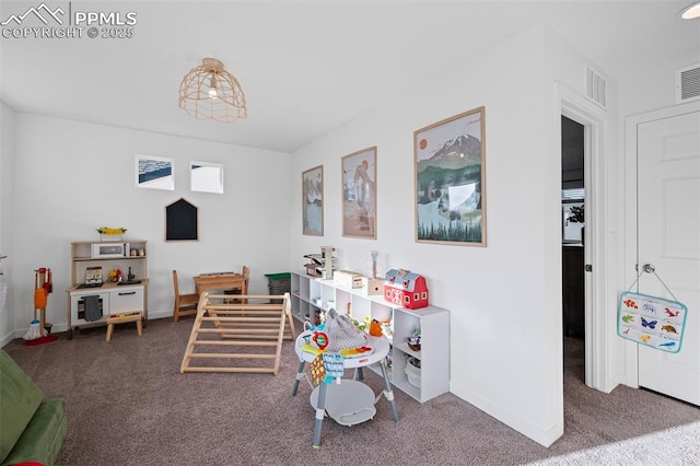 recreation room with carpet floors