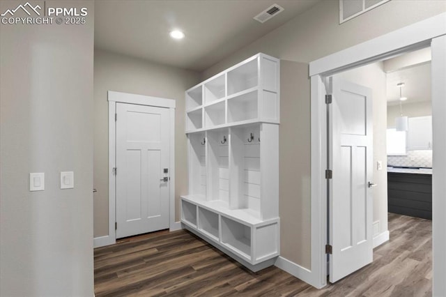 mudroom with dark hardwood / wood-style flooring