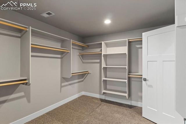 spacious closet with carpet floors