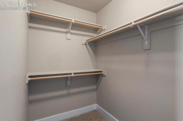 walk in closet with carpet