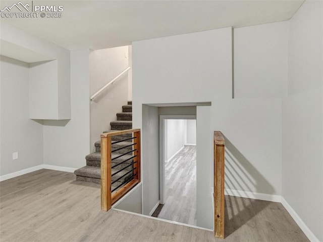 staircase featuring wood-type flooring