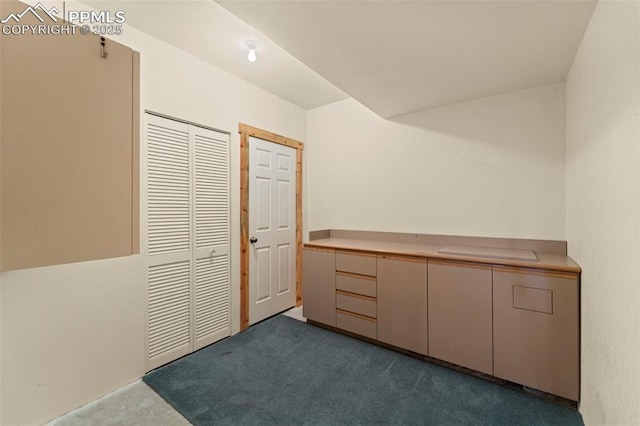 interior space with dark colored carpet