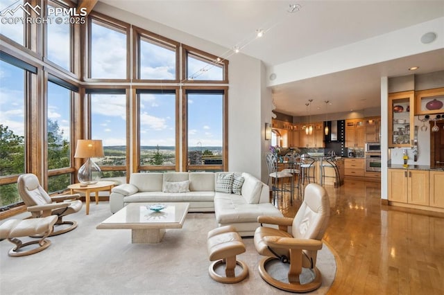 living room featuring a wealth of natural light, a high ceiling, and light wood-type flooring