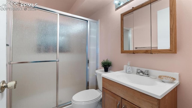 bathroom with vanity, toilet, and a shower with shower door