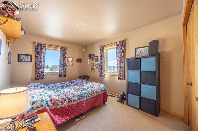 bedroom with carpet flooring