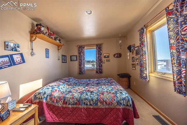 carpeted bedroom with multiple windows