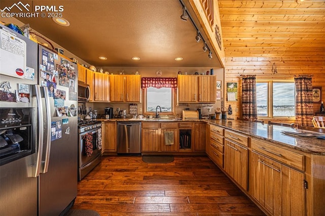 kitchen with appliances with stainless steel finishes, sink, dark hardwood / wood-style flooring, and plenty of natural light